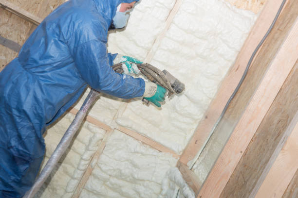 Best Crawl Space Insulation  in Columbiana, OH