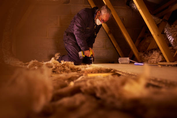 Types of Insulation We Offer in Columbiana, OH